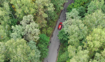 view of car driving through forest